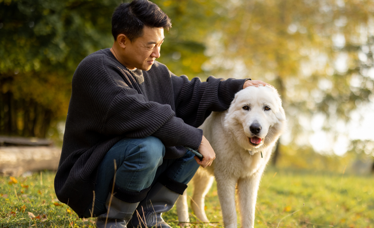 Lessons from Pet Dads: What Our Furry Friends Teach Us About Fatherhood