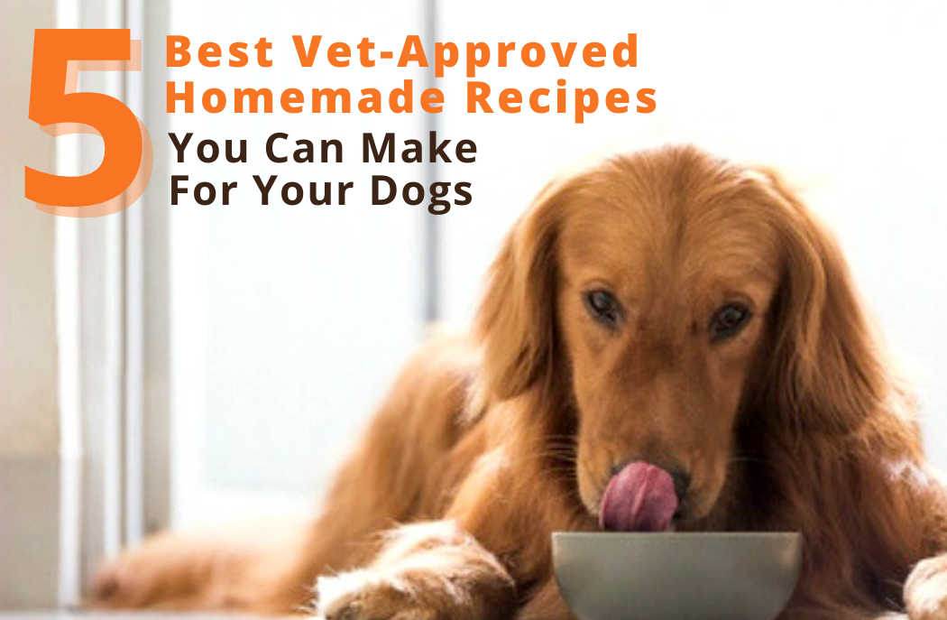 Vet approved dog food recipes sales