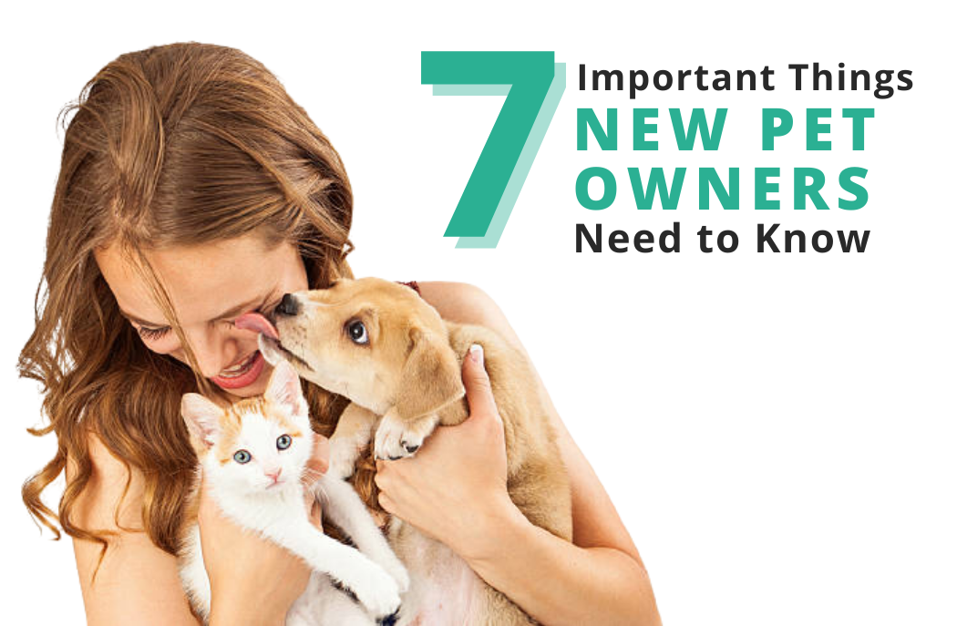 7 Important Things New Pet Owners Need to Know
