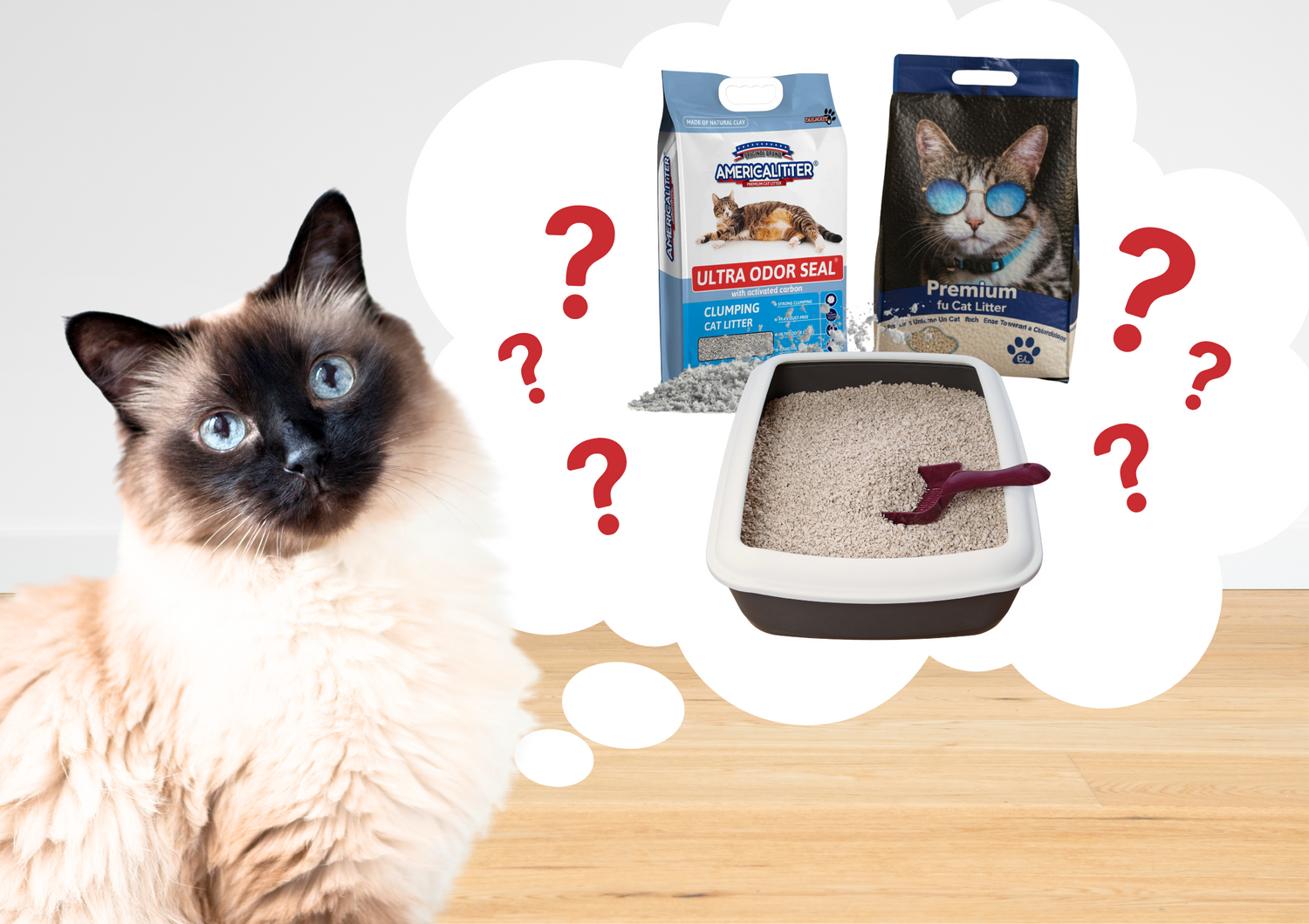 Cat Litter in Singapore: Types, Pros & Cons Explained