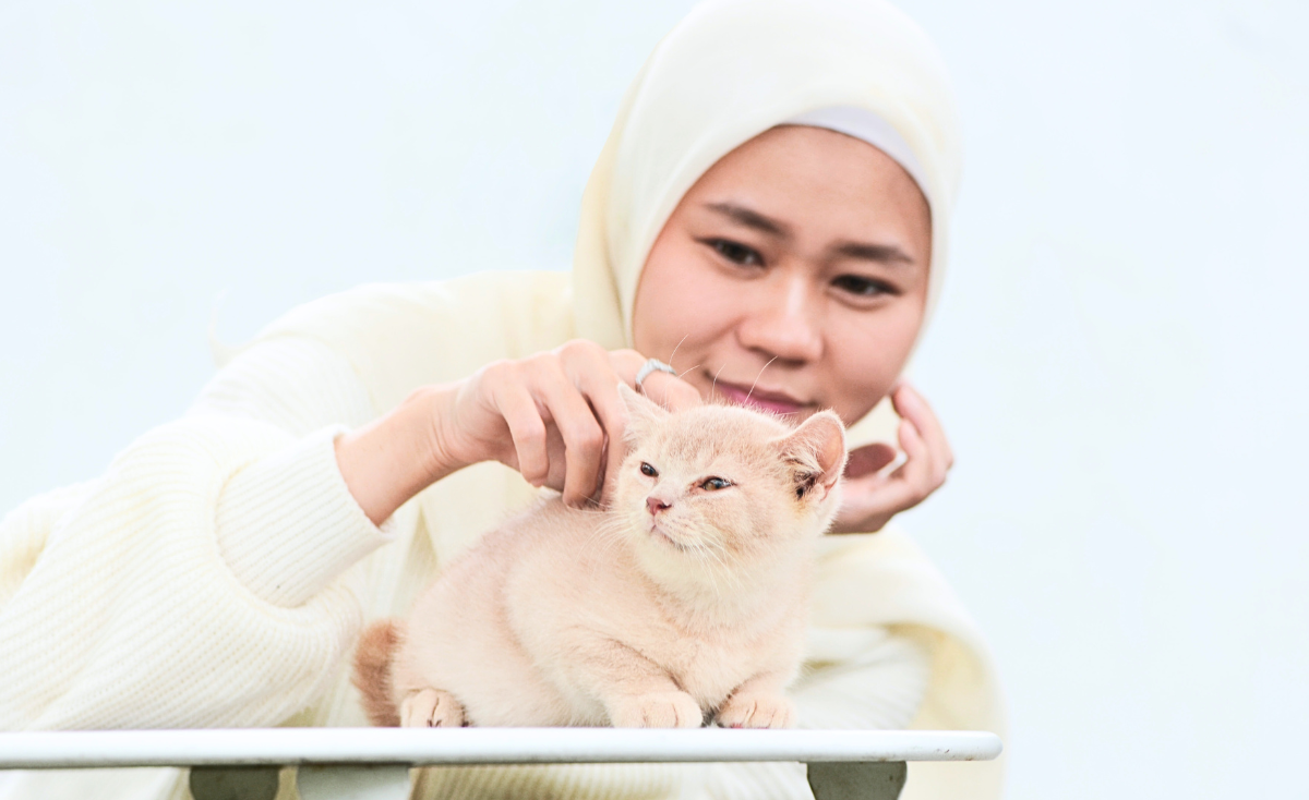 Hari Raya Feasts & Furry Friends: What’s Safe & What’s Not for Your Cat?