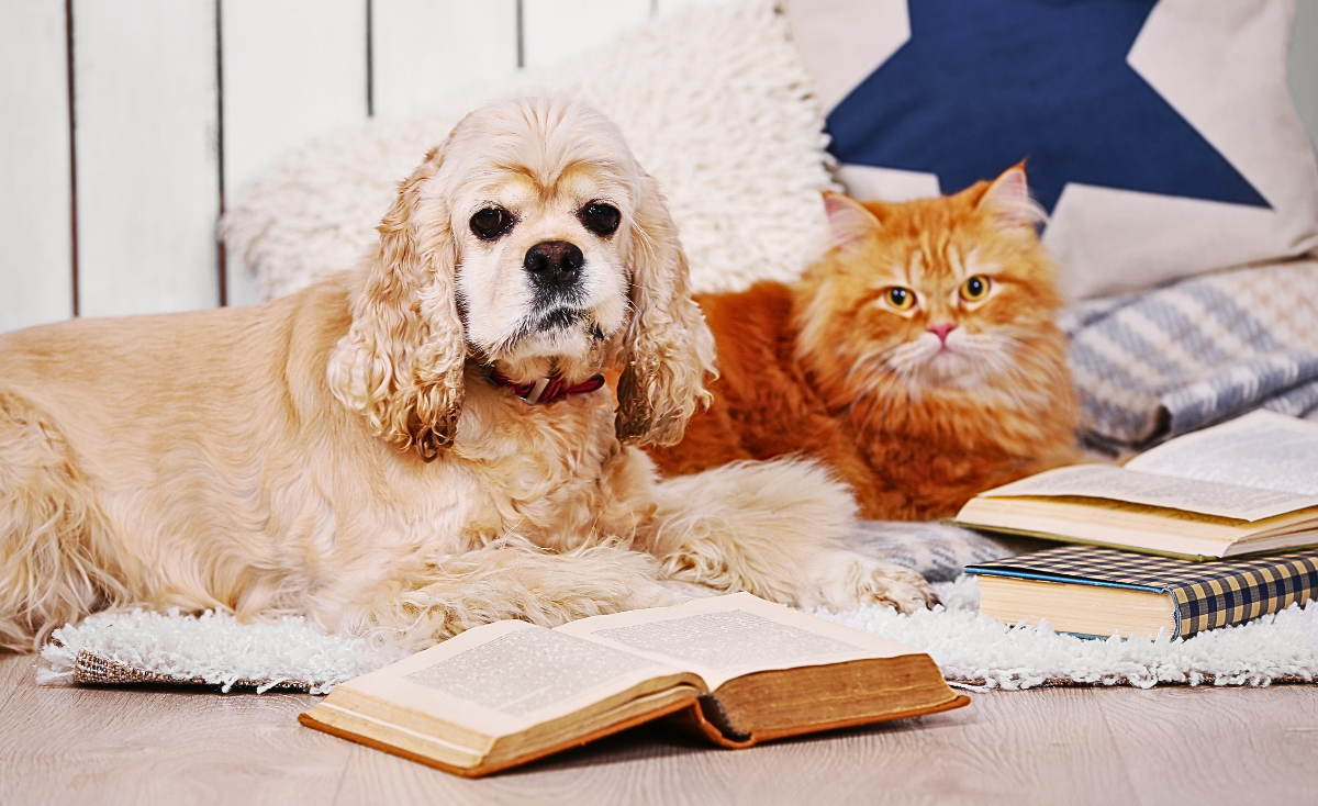 Top 5 of our Best "Smartpaw Features" Last 2021