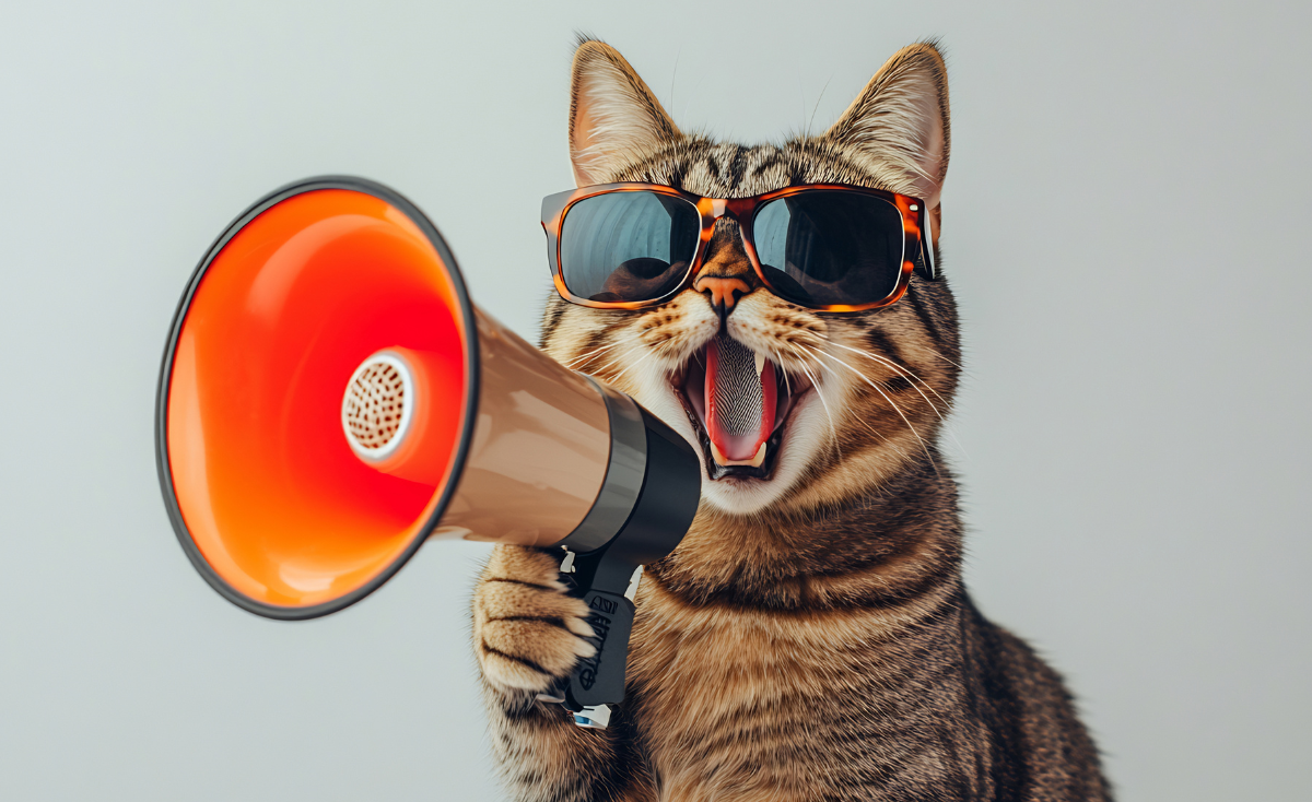 7 Things Your Furry Friends Wish You Knew About Them (Singapore Edition)