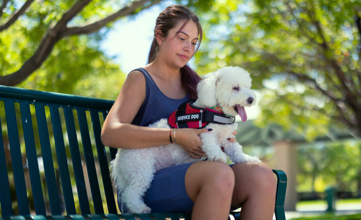 Honoring Working Pets: A Look at the Roles of Service Animals & Working Dogs in Singapore