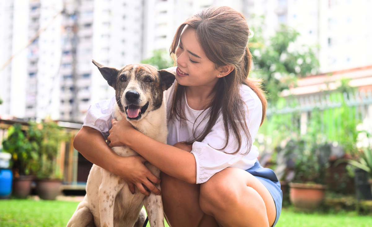Singapore’s Newest Pet Laws & Guidelines in 2025: What Paw-Rents Need to Know