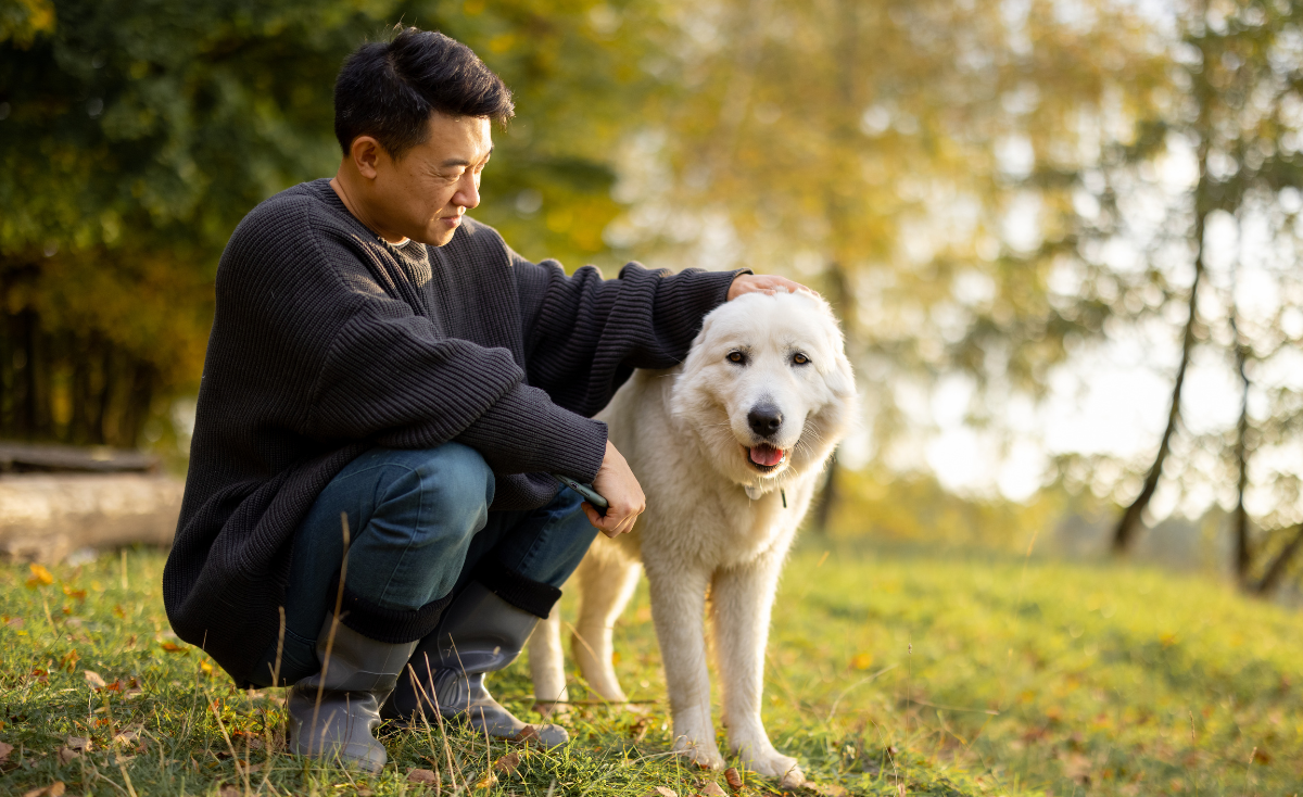 Paws of Love: Celebrating Pet Dads on Father's Day