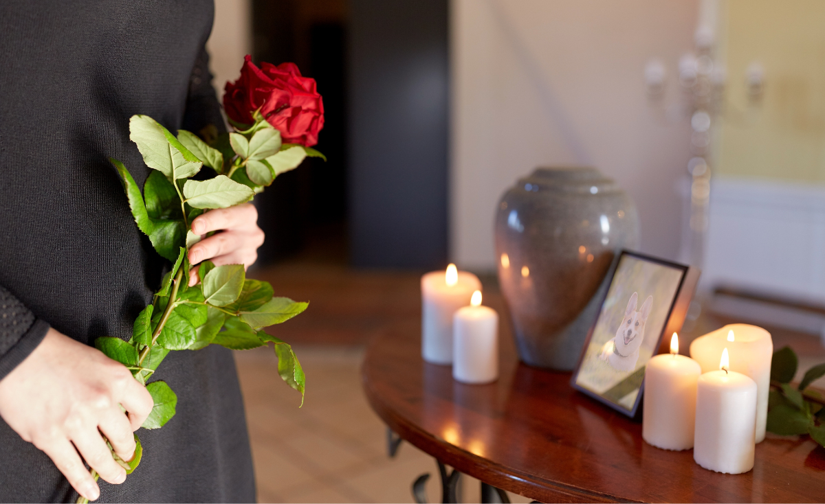 A Heartfelt Farewell: Discovering the Finest Pet Cremation Services in Singapore (2023)