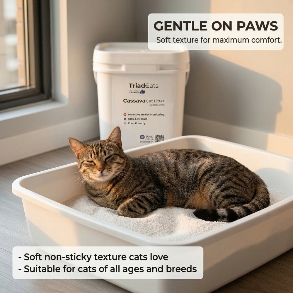 TriadCats Cassava Cat Litter