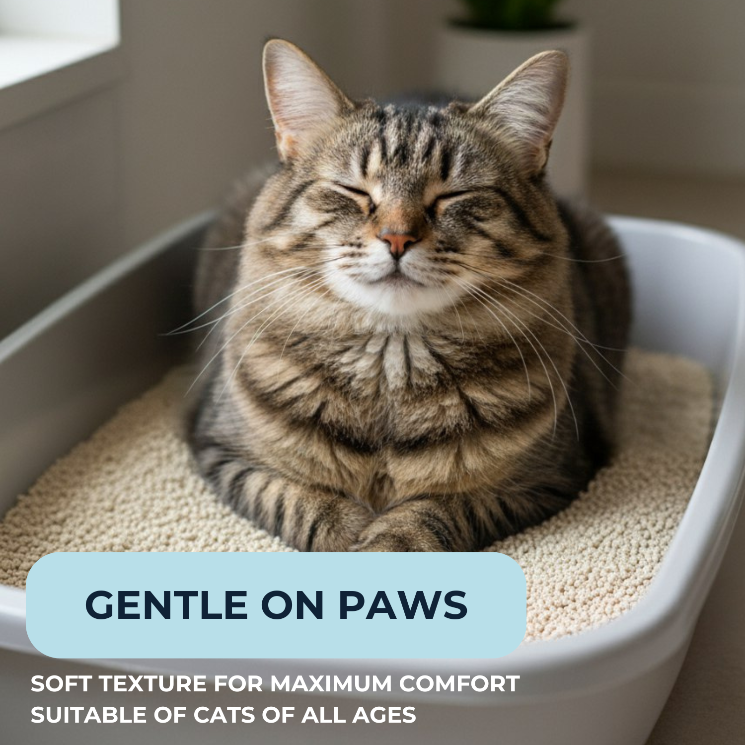 TriadCats Crushed Tofu Cat Litter with Advanced Blood Detector