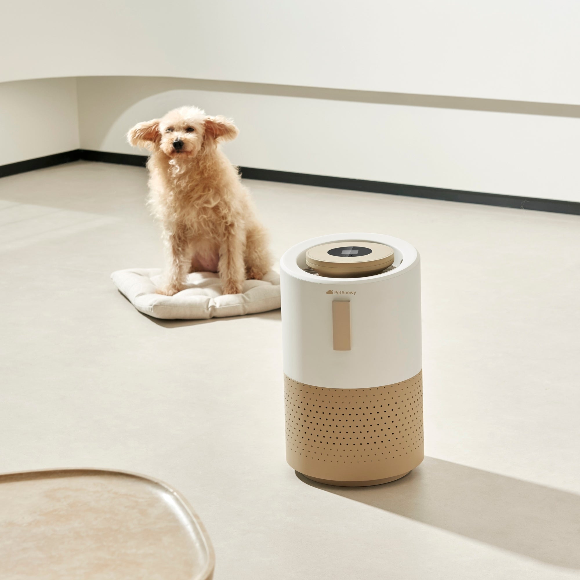 PetSnowy Smart Pet Air Purifier