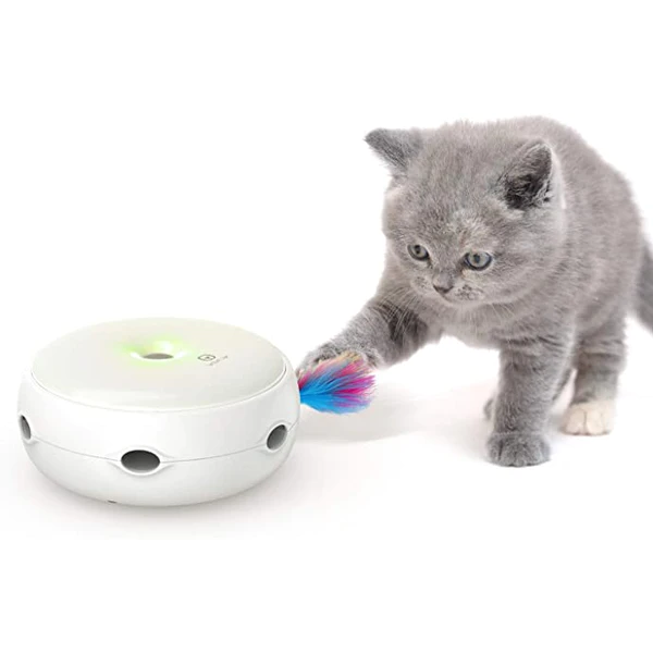 Cat Interactive Play & Exercise Bundle