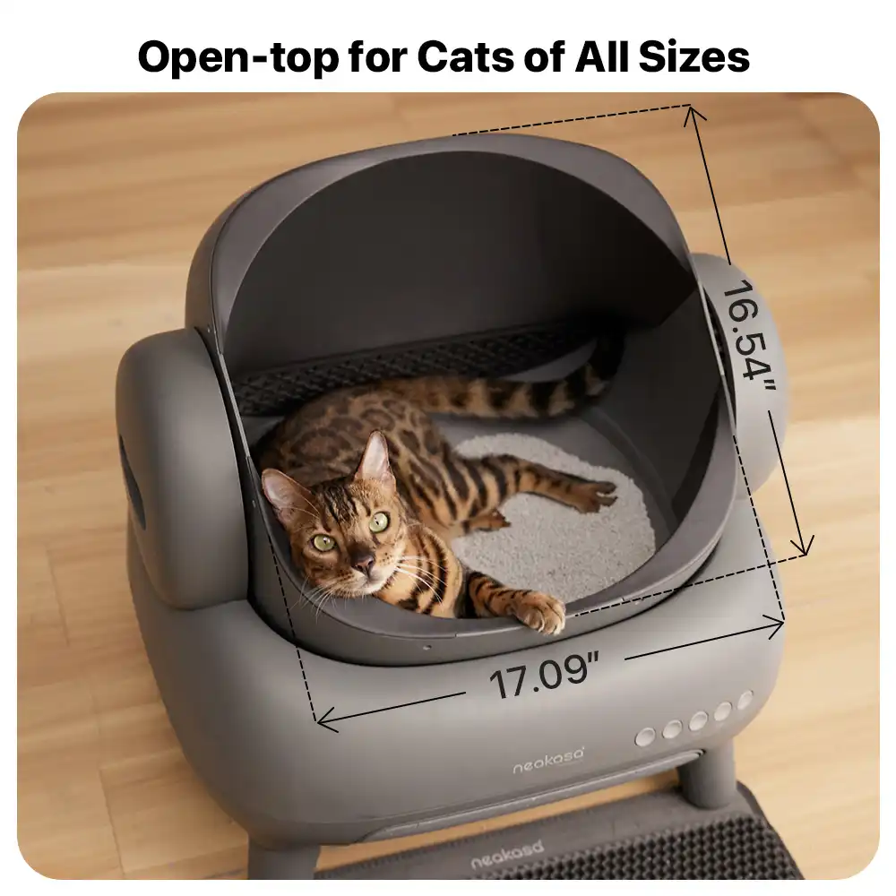 Neakasa M1 Plus (Upgraded) Open-Top Self-Cleaning Automatic Cat Litter Box