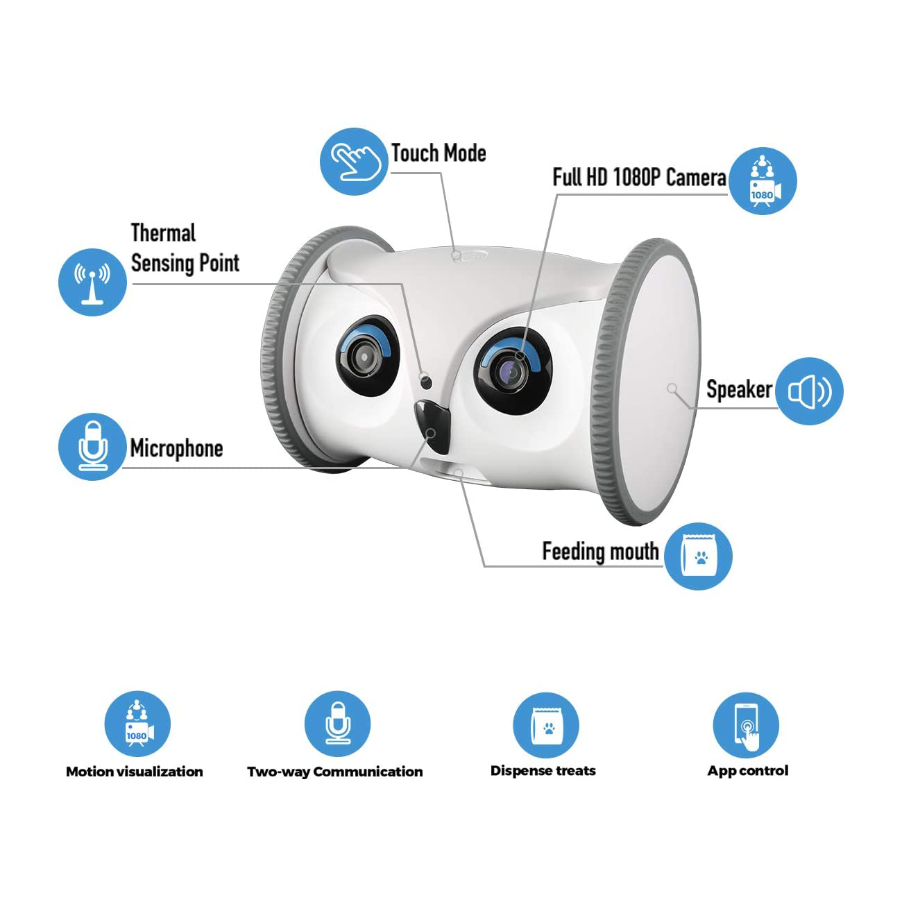 Dog Interactive Play & Exercise Bundle