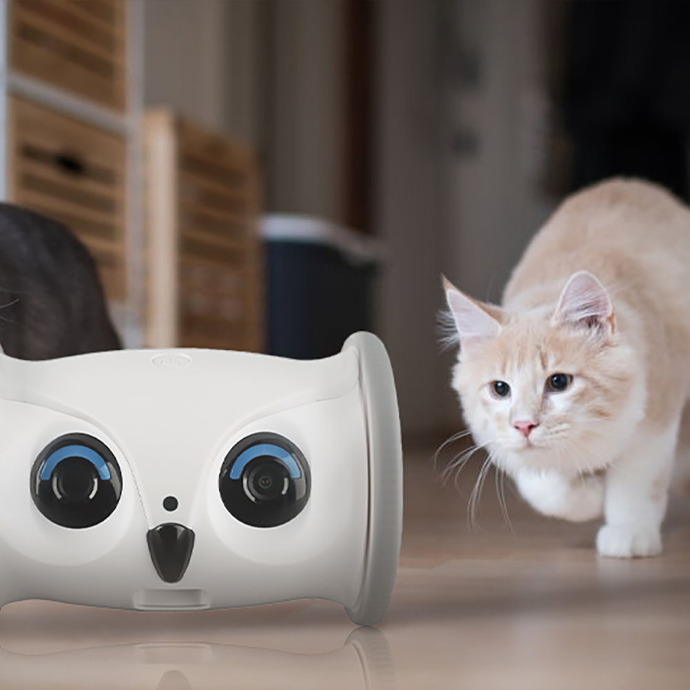 Cat Interactive Play & Exercise Bundle