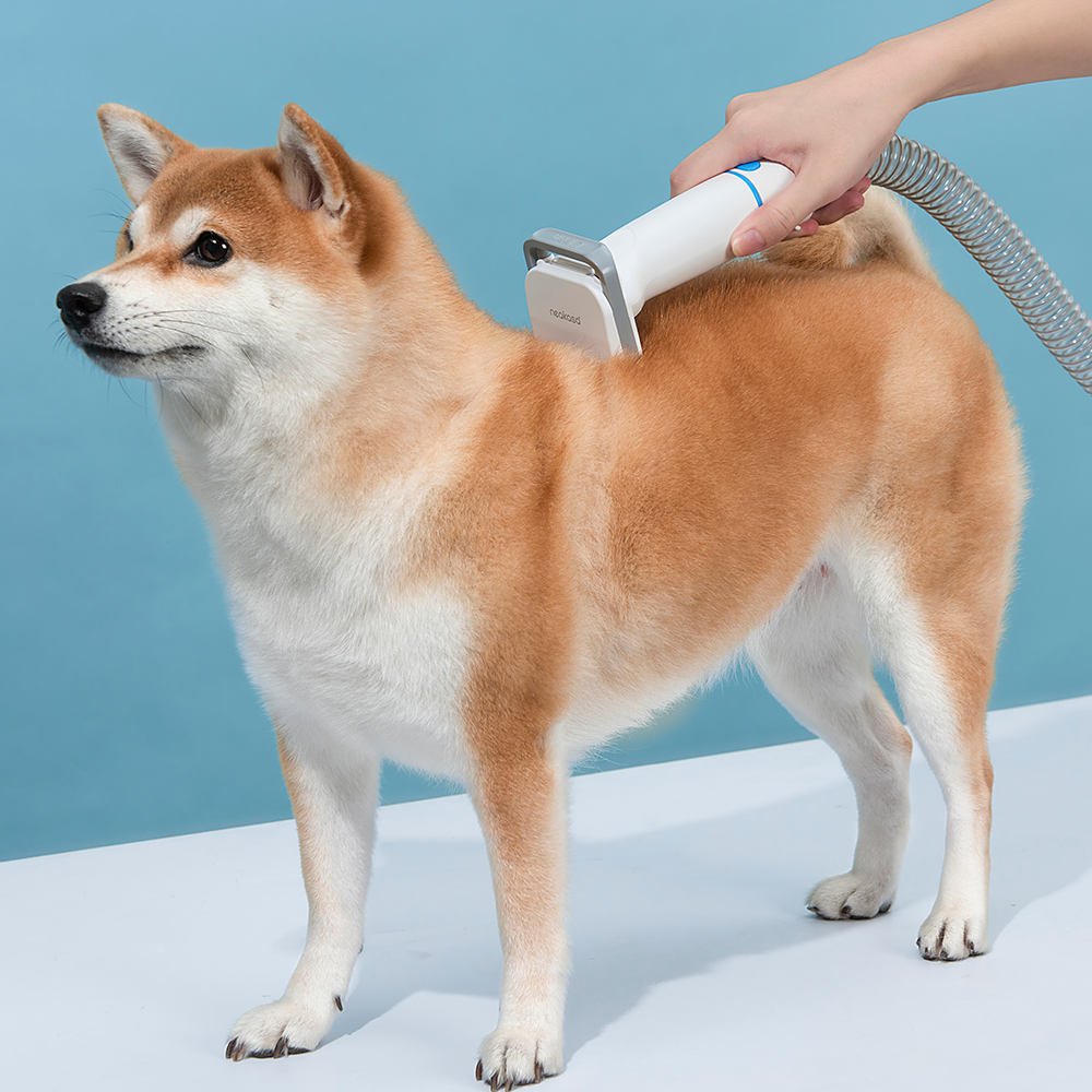 Ultimate Dog Grooming Bundle