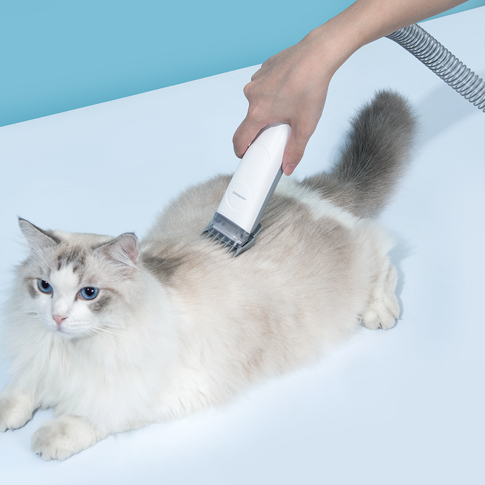 Ultimate Cat Grooming Bundle