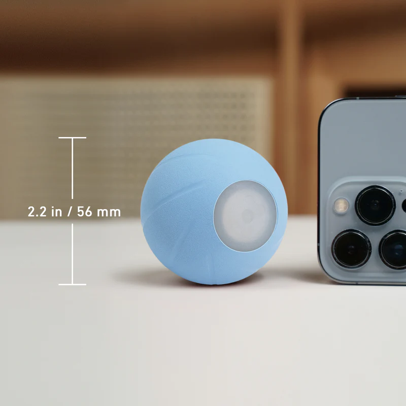 Dog Interactive Play & Exercise Bundle