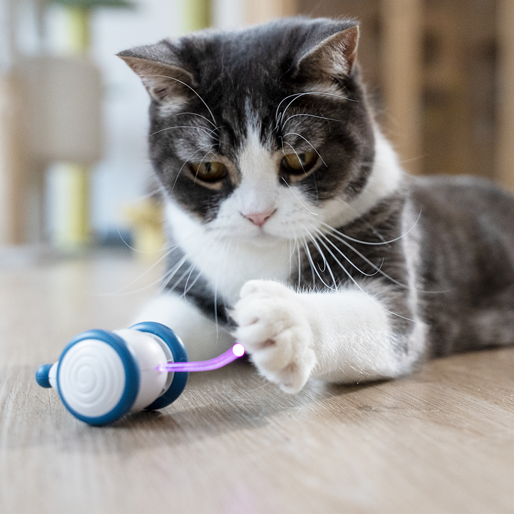 Cheerble Wicked Mouse Interactive Cat Toy