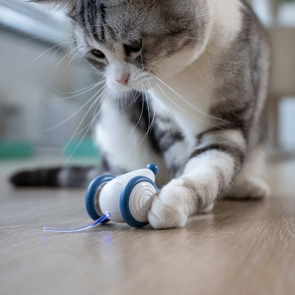 Cheerble Wicked Mouse Interactive Cat Toy