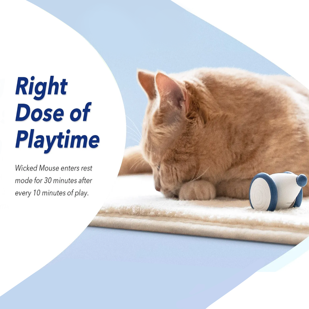 Cheerble Wicked Mouse Interactive Cat Toy - Right Dose of Playtime