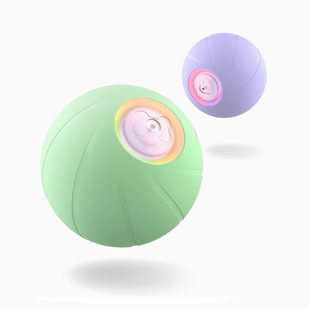 Wickedball Interactive Dog Toy PE SE