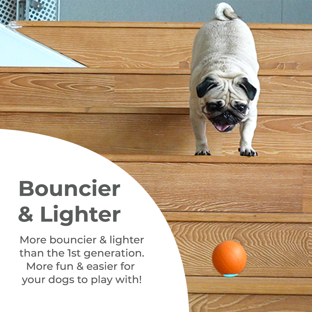 Wickedball Interactive Dog Toy PE/SE - Bouncier and Lighter