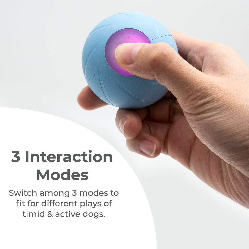 Wickedball Interactive Dog Toy PE/SE - 3 Interaction Modes