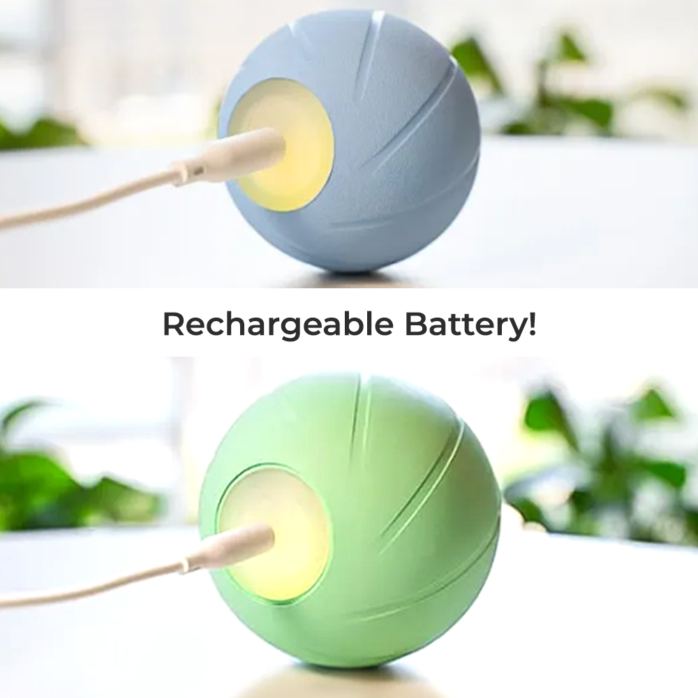 Wickedball Interactive Dog Toy PE/SE - Rechargeable Battery