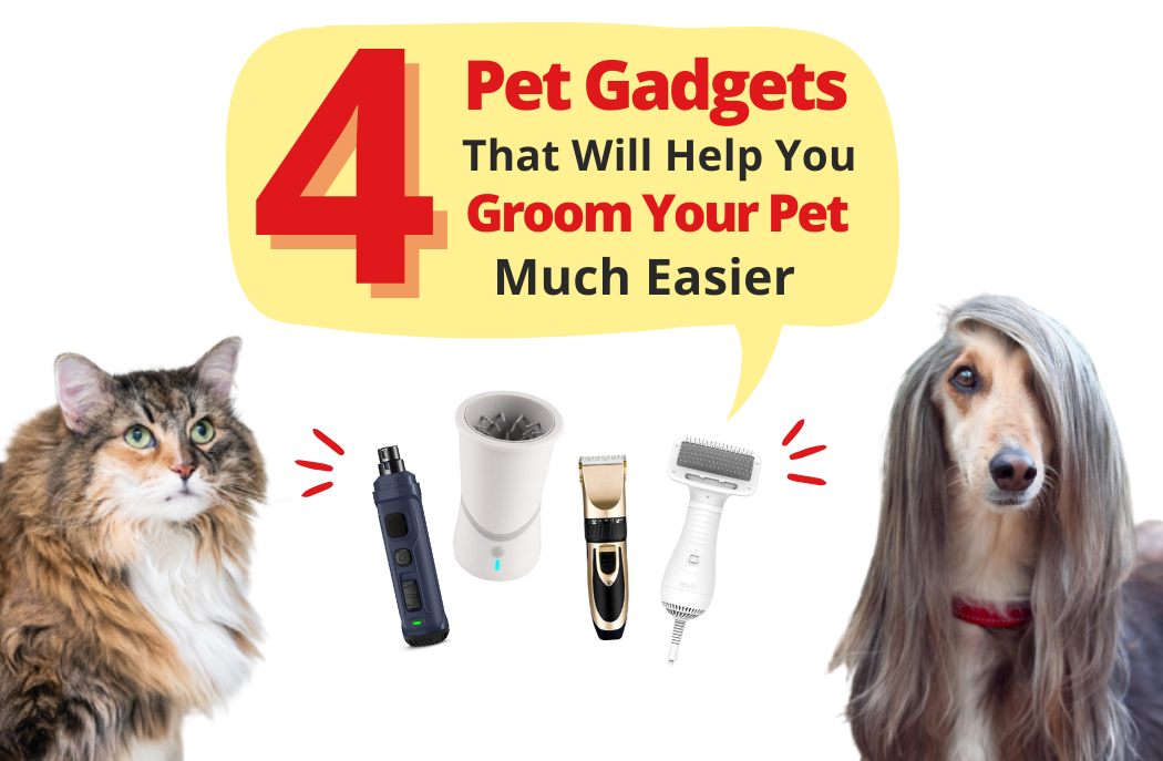 4 Pet Gadgets That Will Help You Groom Your Pet Much Easier