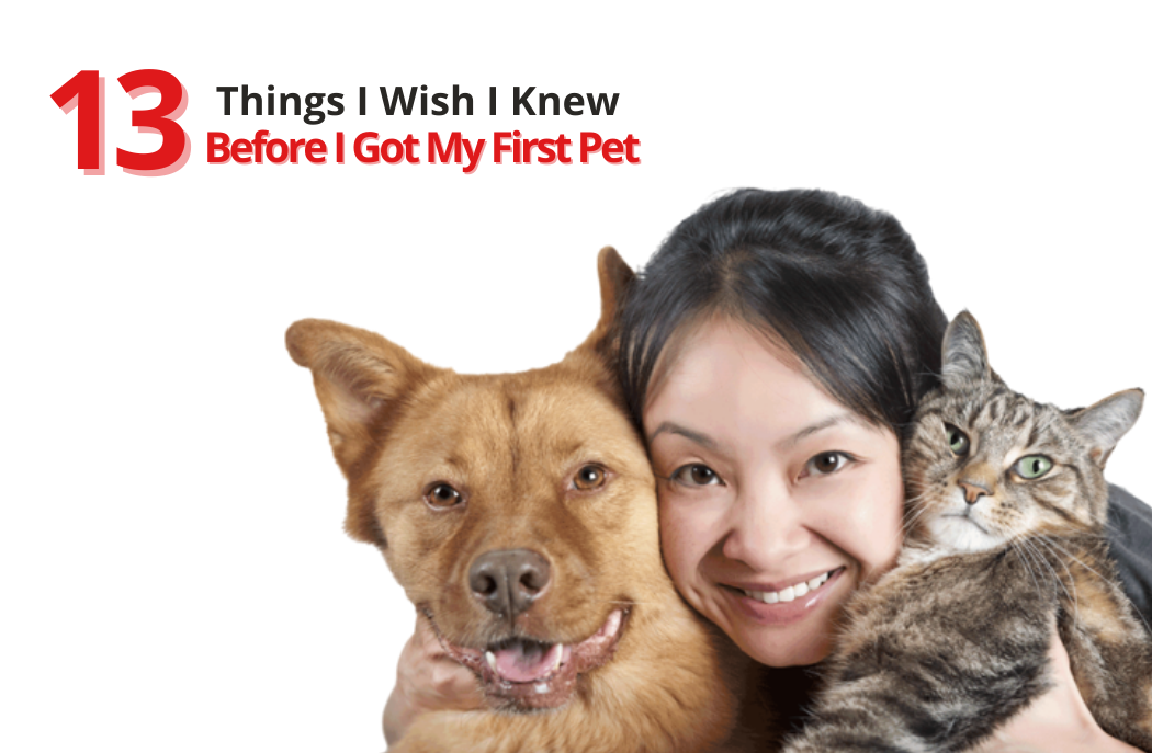 13 Things I Wish I Knew Before I Got My First Pet
