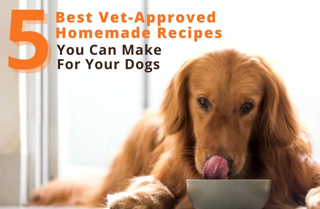 5 Best Vet-Approved Homemade Recipes You Can Make for Your Dogs