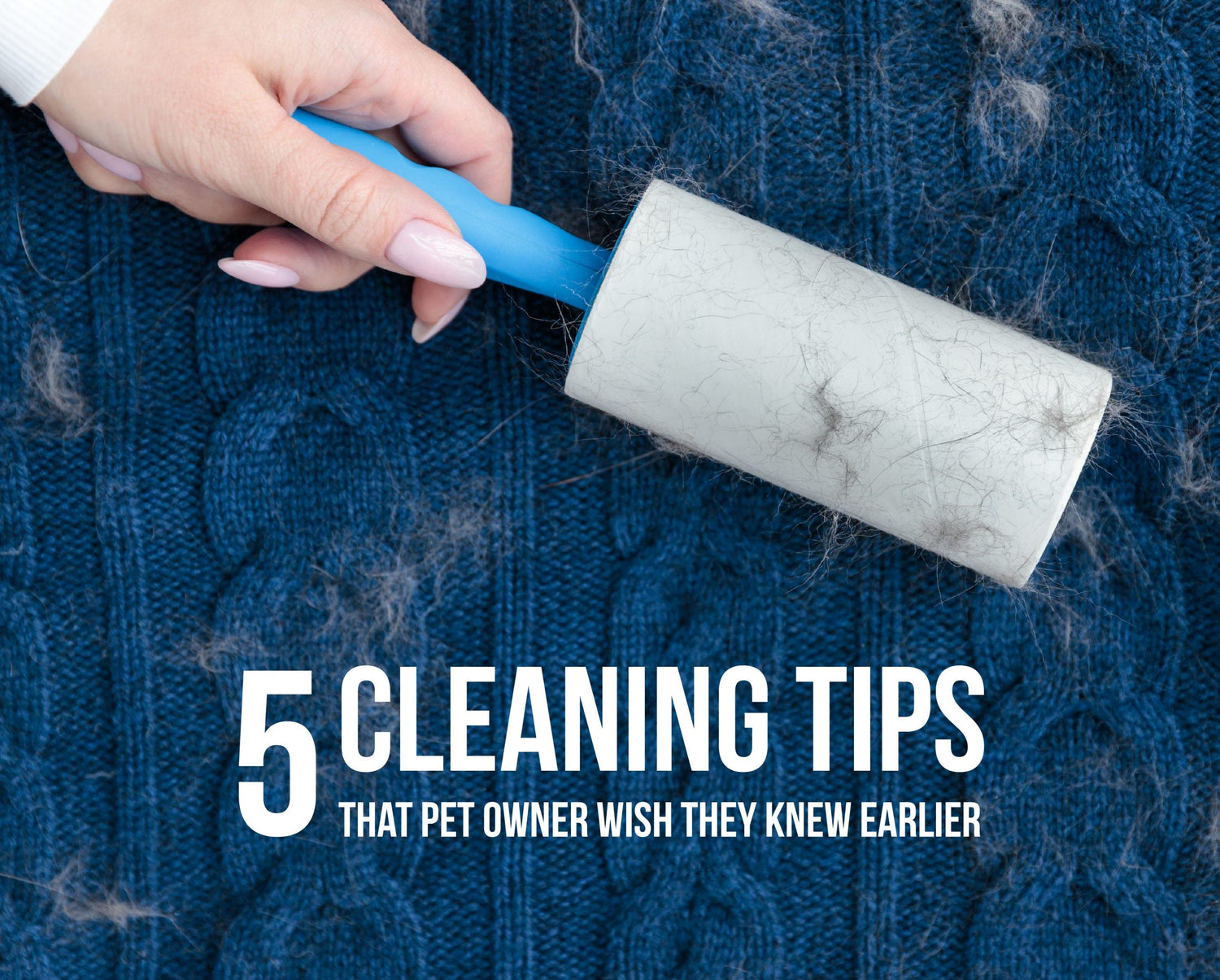 5 Cleaning Tips that Pet Owner Wish They Knew Earlier