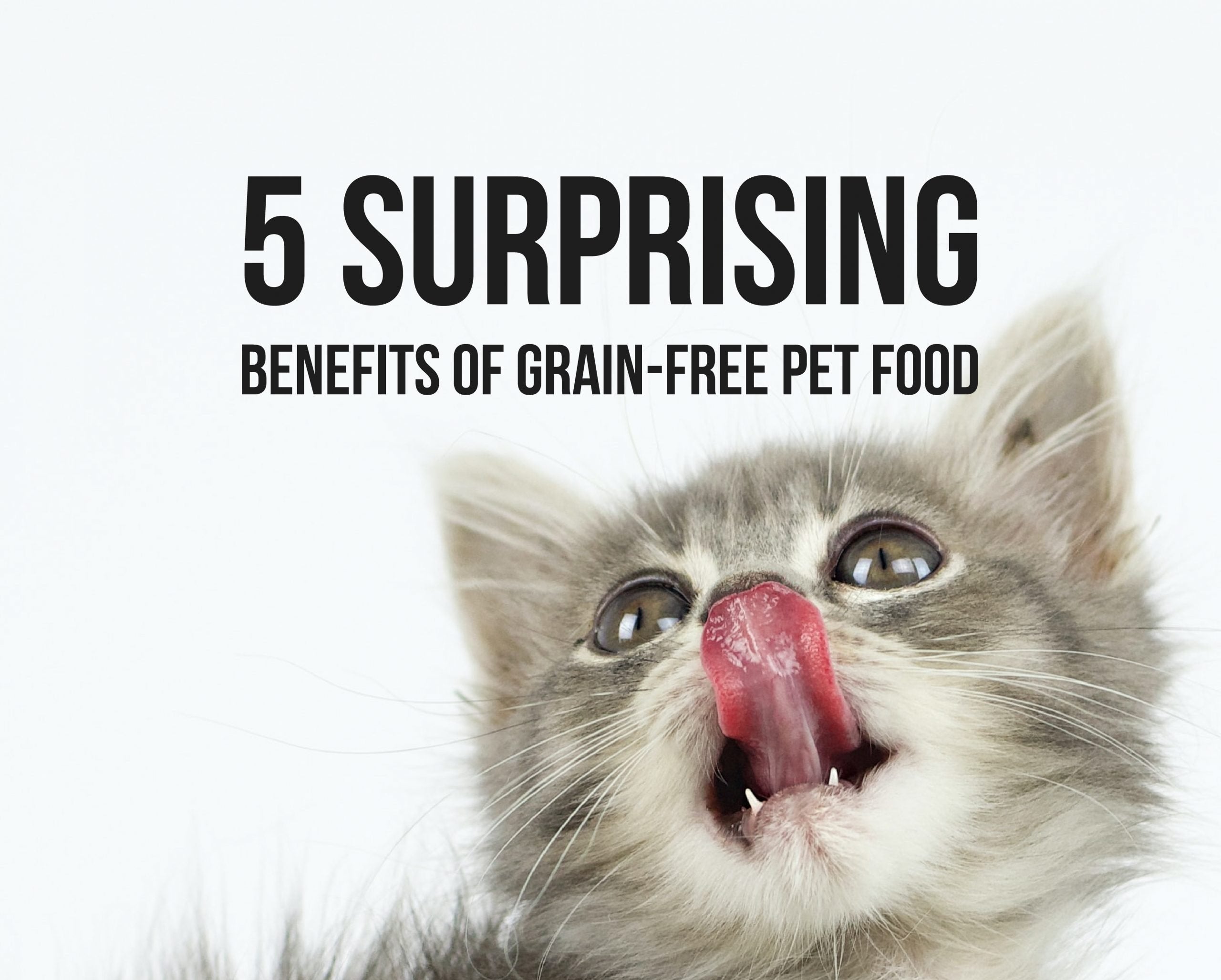 5 Surprising Benefits of Grain-Free Pet Food