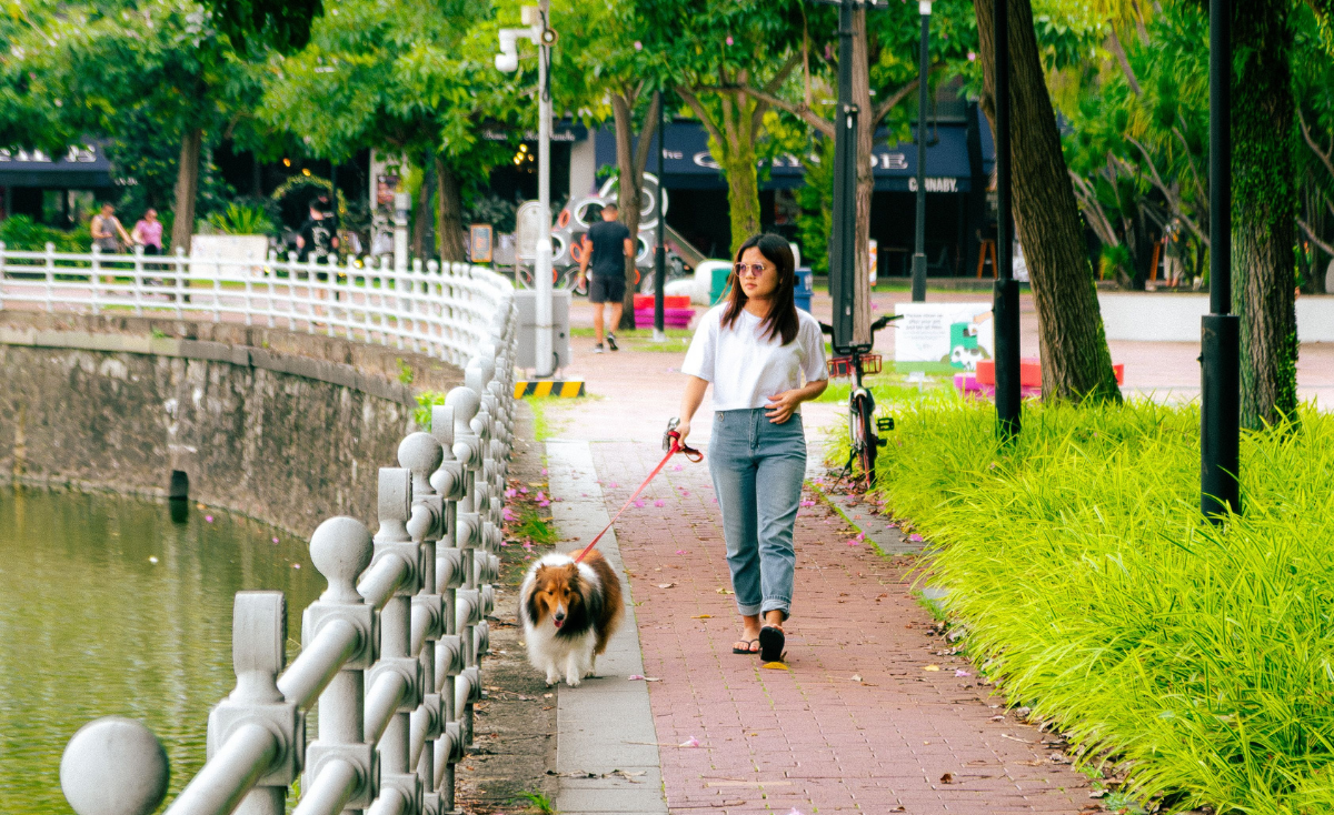 Celebrate SG61: Explore & Give Back Together With Your Pet