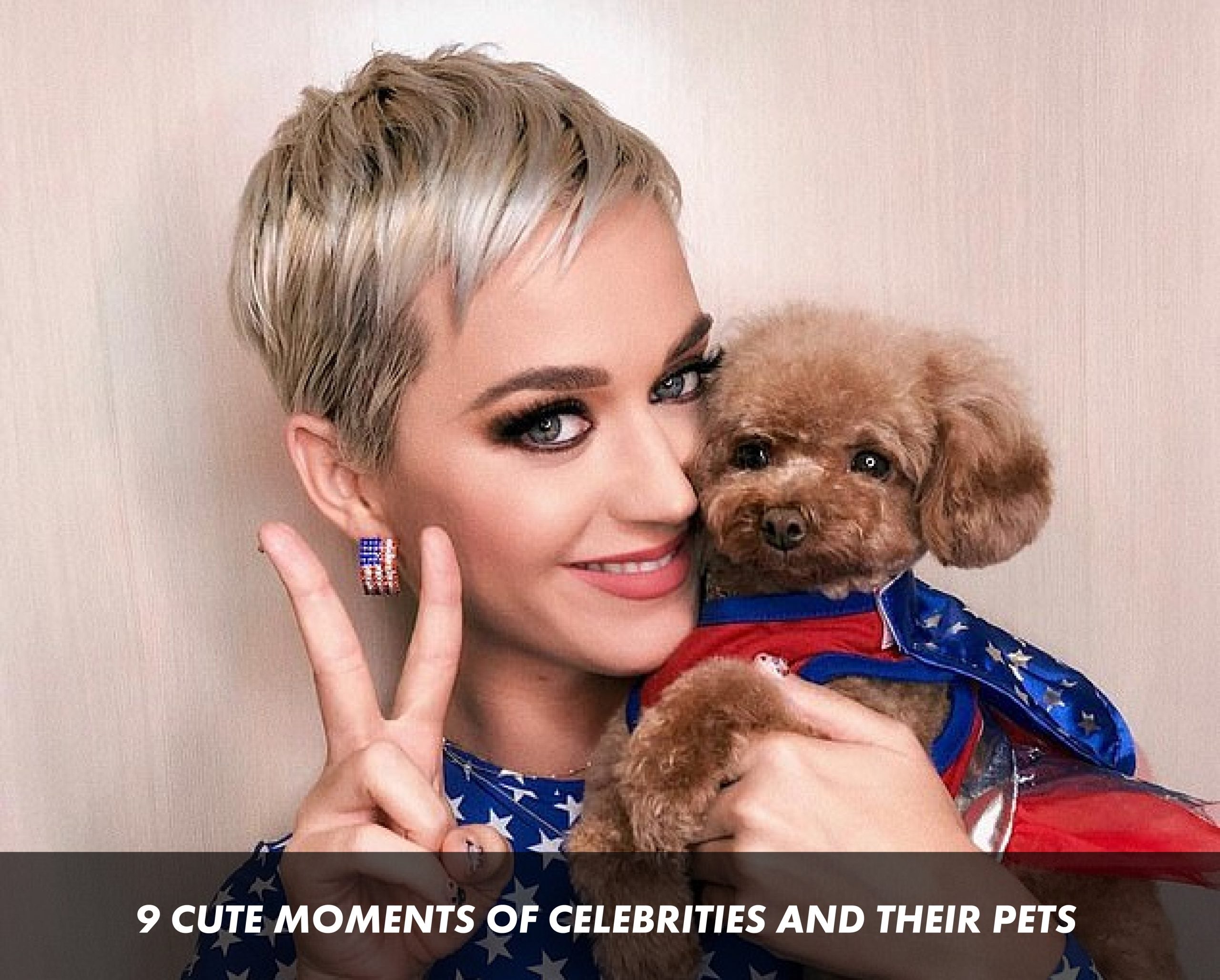 9 Cute Moments of Celebrities and their Pets
