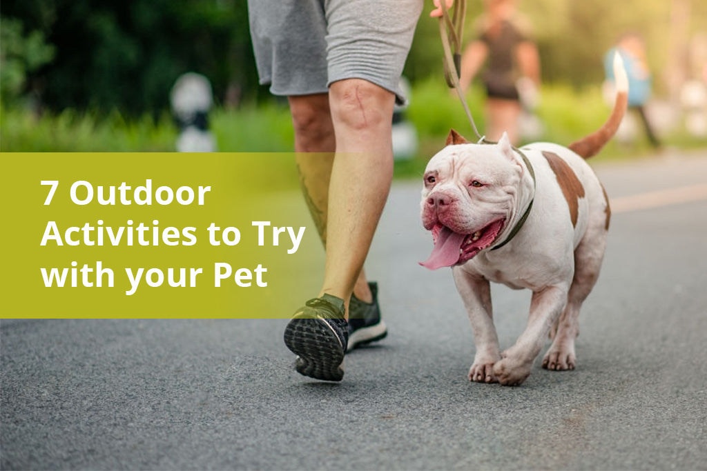 7 Outdoor Activities to Try with your Pet