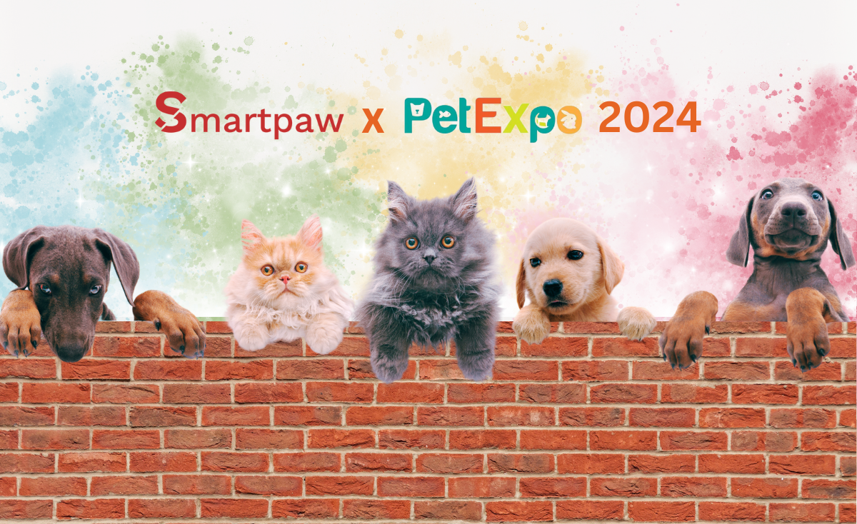 Your Guide to Pet Expo 2024: What to Expect From Us & Preparation Tips for Singapore's Biggest Pet Event