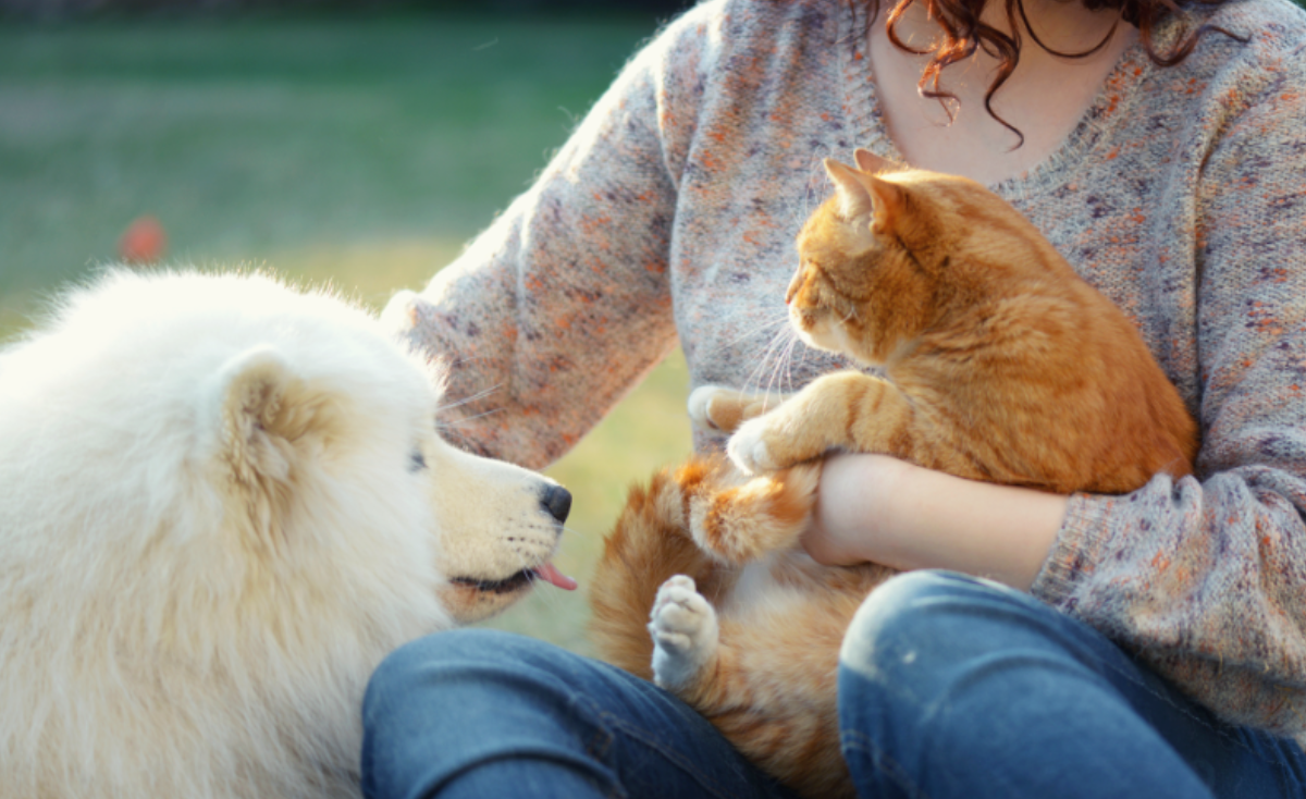 Unconditional Love: Celebrating Pet Moms on Mother's Day