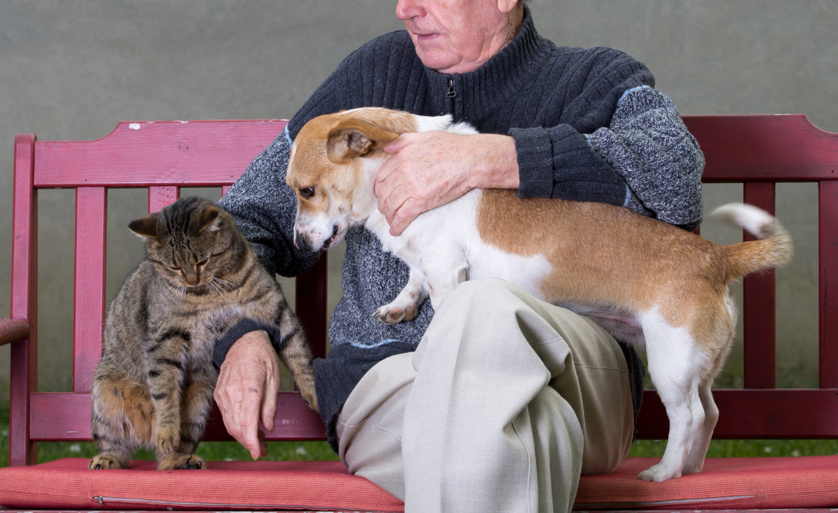 Paws-itive Aging: The Role of Pets in Elder Care