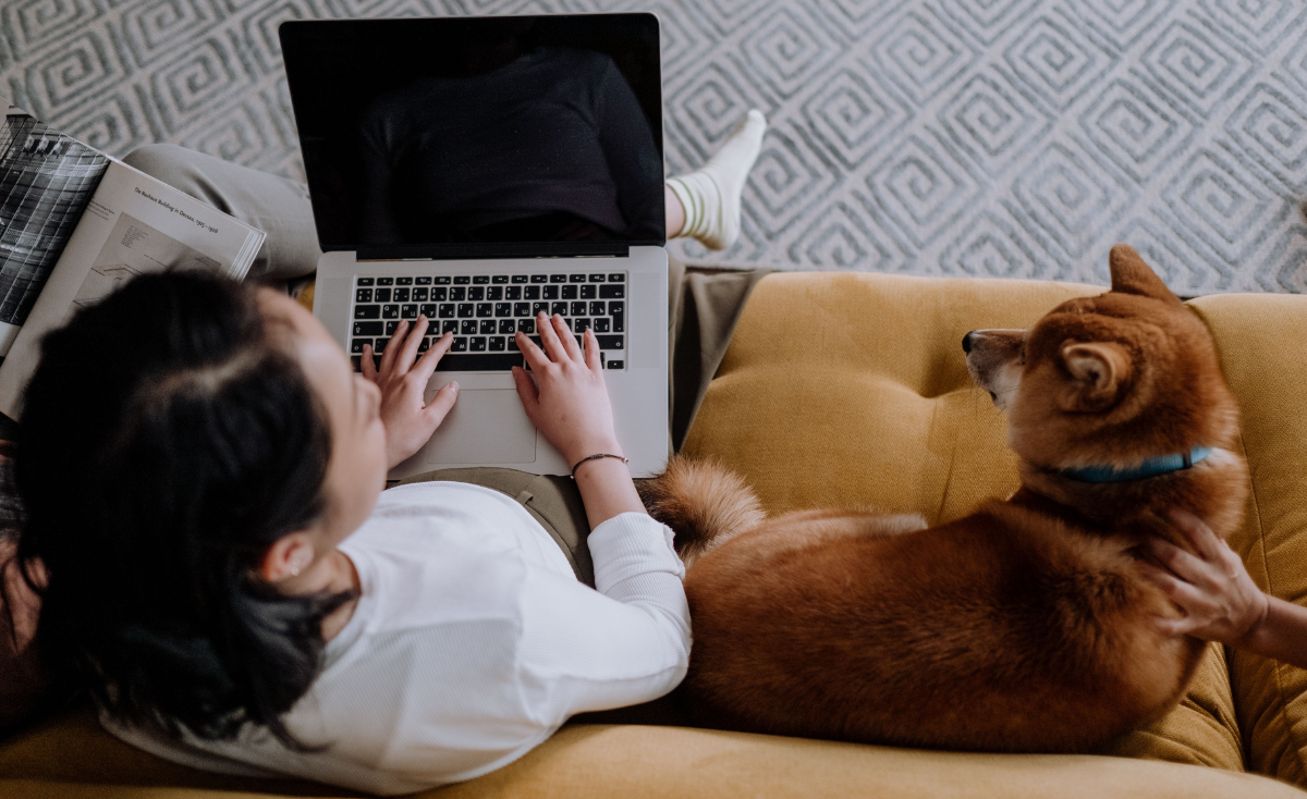 Busy Pawrents Guide: Keeping Your Pet Happy & Healthy While You Work