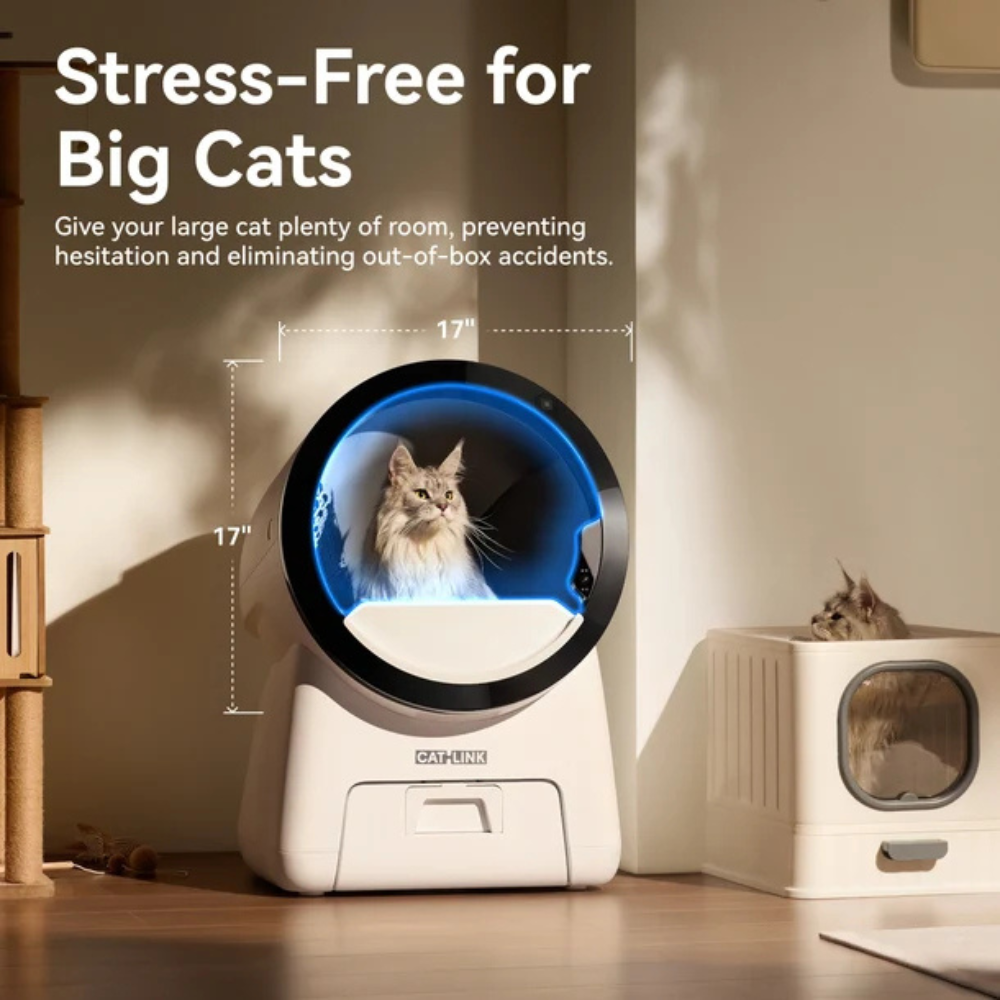 CATLINK Scoop Robot Pro AI Dual-Camera Self-Cleaning Cat Litter Box
