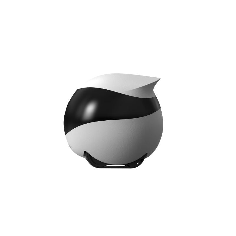 Enabot EBO SE Wireless Pet Camera Robot