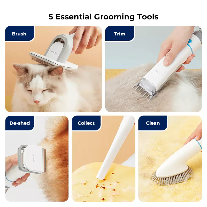 Cat top grooming tools