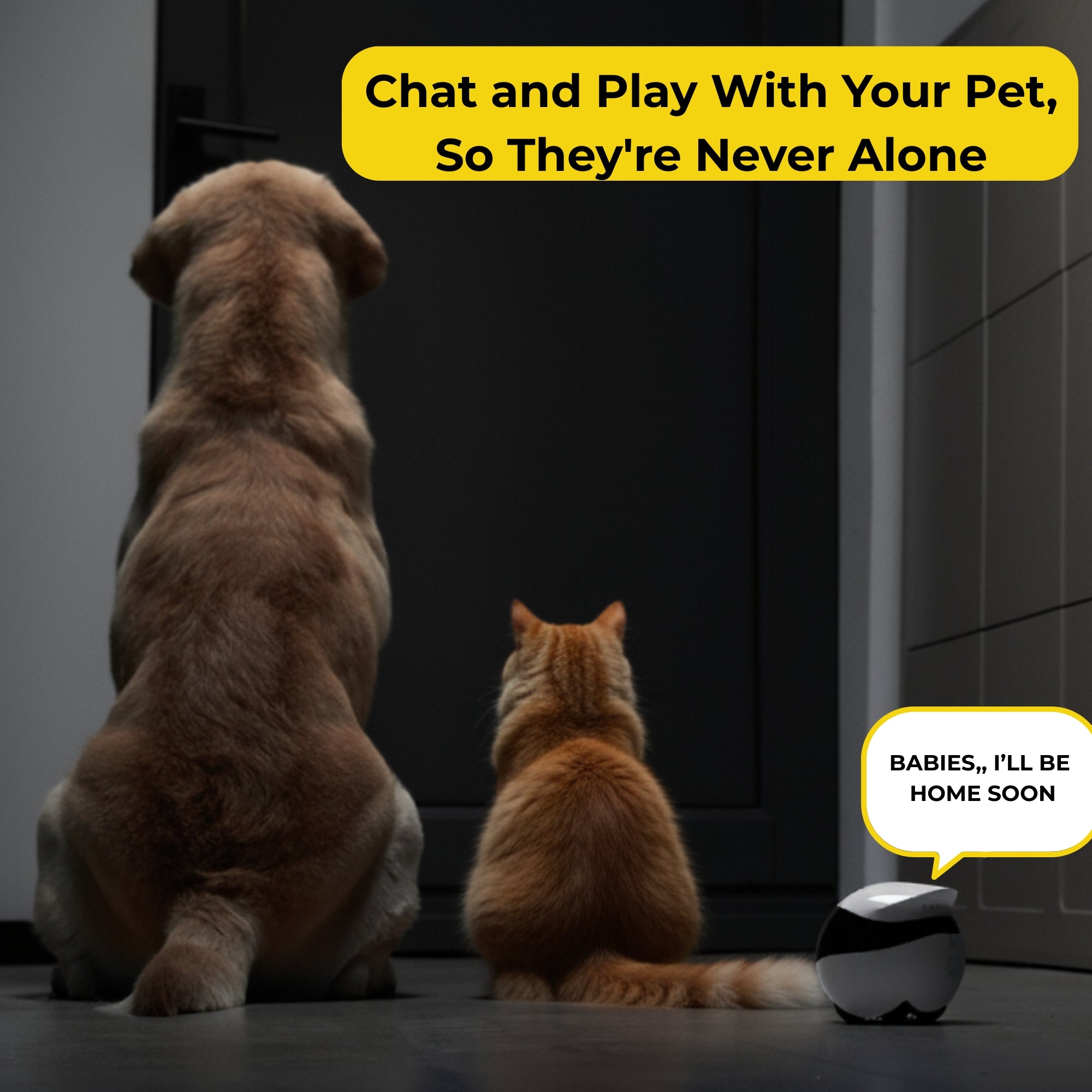 Enabot Ebo Air 2 Pet Camera