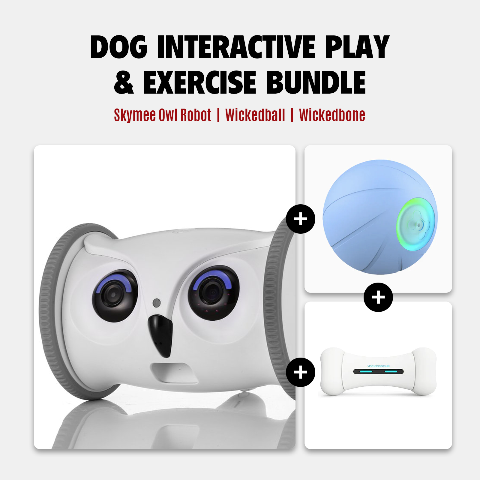 Dog Interactive Play & Exercise Bundle