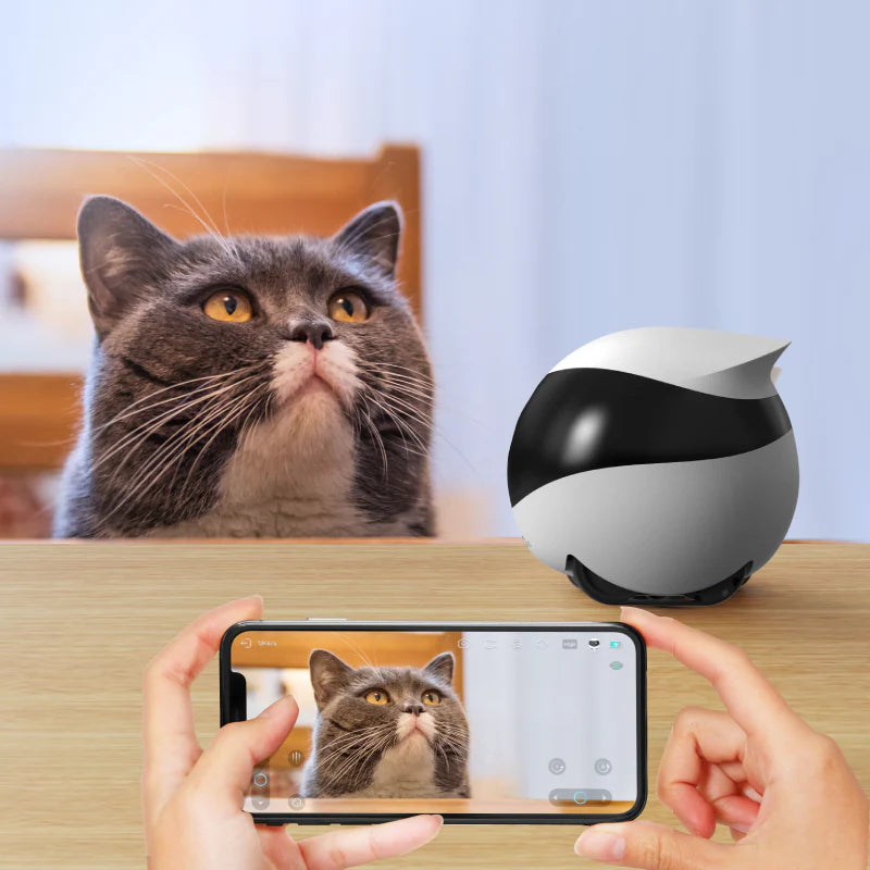 Enabot EBO SE Wireless Pet Camera Robot