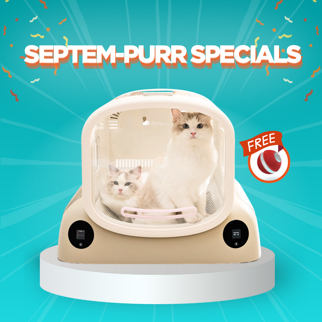PetSnowy SMILE Pet Dryer Box