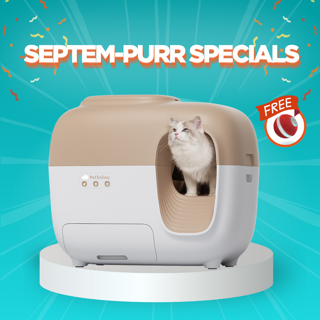 PetSnowy SNOW+ Self-Cleaning Cat Litter Box – Best Odor Control with Hands-Free Cleaning