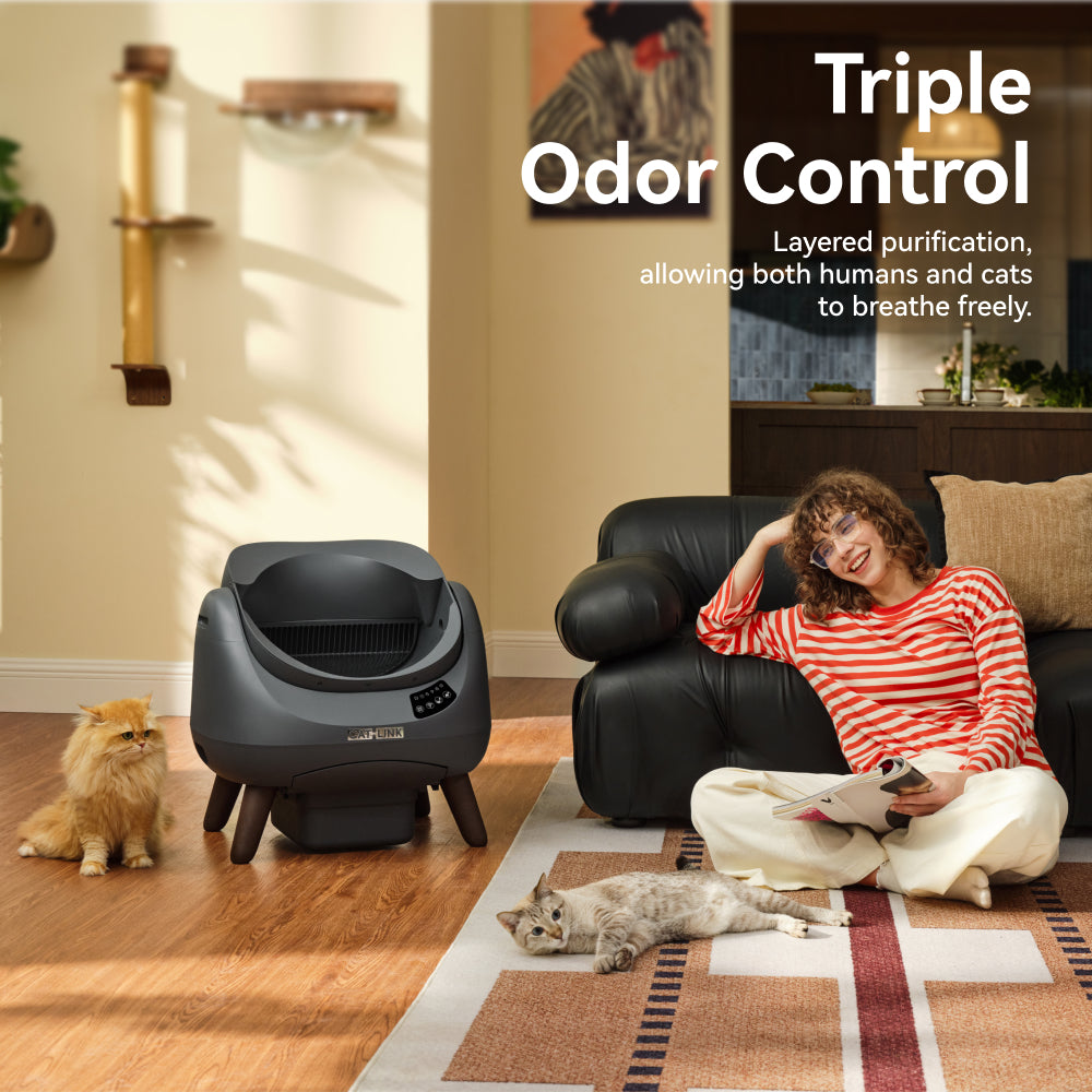 CATLINK Open-X Cat Litter Box – Open-Top, Spacious & Self-Cleaning