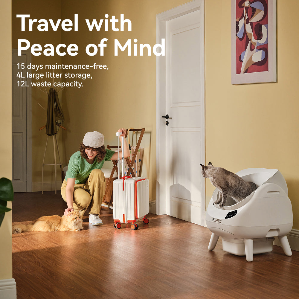 CATLINK Scooper Open-X Automatic Cat Litter Box [Pre-Order]